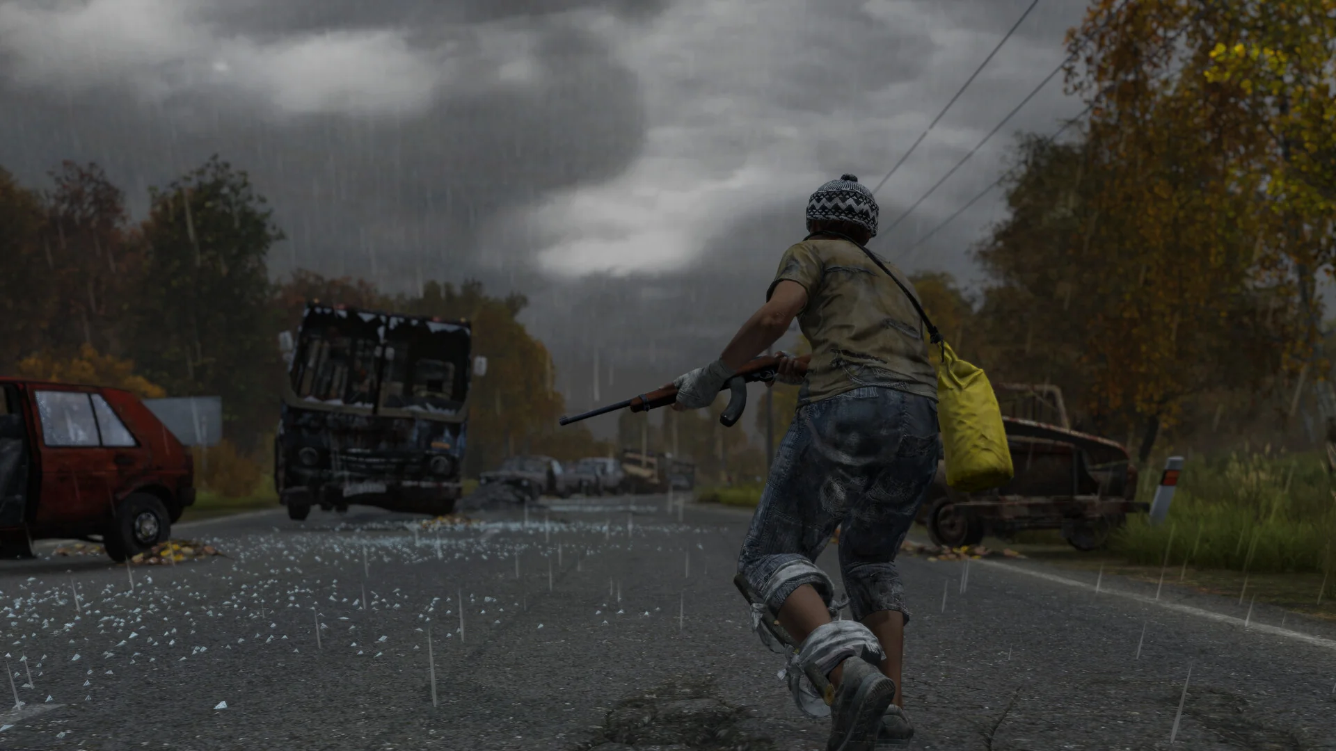 Источник: видеоигра DayZ